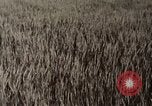 Standbild USAAF Bombenabwürfe Szenen in Zweiten Weltkrieg Omaha Nebraska United States USA, 1963, aus Sekunde 26 historischem Filmmaterial Videoclip 65675026715