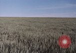 Standbild USAAF Bombenabwürfe Szenen in Zweiten Weltkrieg Omaha Nebraska United States USA, 1963, aus Sekunde 30 historischem Filmmaterial Videoclip 65675026715