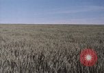 Standbild USAAF Bombenabwürfe Szenen in Zweiten Weltkrieg Omaha Nebraska United States USA, 1963, aus Sekunde 32 historischem Filmmaterial Videoclip 65675026715