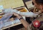 Image of captured ammunition Vietnam, 1968, second 39 stock footage video 65675026720