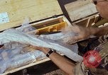 Image of captured ammunition Vietnam, 1968, second 40 stock footage video 65675026720
