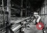 Image of Fulbright Program Japan, 1961, second 3 stock footage video 65675026749
