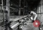 Image of Fulbright Program Japan, 1961, second 4 stock footage video 65675026749