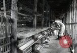 Image of Fulbright Program Japan, 1961, second 5 stock footage video 65675026749