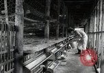 Image of Fulbright Program Japan, 1961, second 6 stock footage video 65675026749