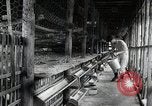 Image of Fulbright Program Japan, 1961, second 7 stock footage video 65675026749