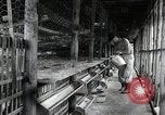 Image of Fulbright Program Japan, 1961, second 8 stock footage video 65675026749