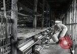 Image of Fulbright Program Japan, 1961, second 10 stock footage video 65675026749