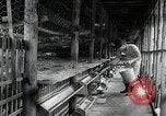 Image of Fulbright Program Japan, 1961, second 13 stock footage video 65675026749