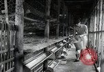 Image of Fulbright Program Japan, 1961, second 14 stock footage video 65675026749