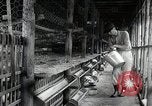 Image of Fulbright Program Japan, 1961, second 15 stock footage video 65675026749