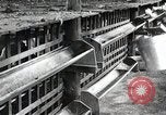 Image of Fulbright Program Japan, 1961, second 16 stock footage video 65675026749