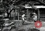 Image of Fulbright Program Japan, 1961, second 35 stock footage video 65675026749