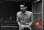 Image of Fulbright Program Japan, 1961, second 43 stock footage video 65675026749