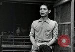 Image of Fulbright Program Japan, 1961, second 44 stock footage video 65675026749