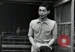 Image of Fulbright Program Japan, 1961, second 47 stock footage video 65675026749