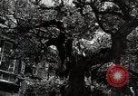 Image of Fulbright Program Japan, 1961, second 31 stock footage video 65675026751