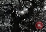 Image of Fulbright Program Japan, 1961, second 32 stock footage video 65675026751