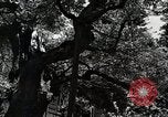 Image of Fulbright Program Japan, 1961, second 33 stock footage video 65675026751