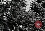 Image of Fulbright Program Japan, 1961, second 36 stock footage video 65675026751