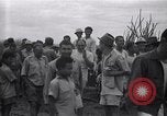 Standbild Häftlinge gerettet aus japanischen Gefangenenlager Guimba Philippinen, 1945, aus Sekunde 14 historischem Filmmaterial Videoclip 65675026770