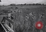 Standbild Alliierte Kriegsgefangene gerettet aus japanischen Cabanatuan Gefangenenlager Luzon Philippinen, 1945, aus Sekunde 4 historischem Filmmaterial Videoclip 65675026771