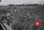 Standbild Alliierte Kriegsgefangene gerettet aus japanischen Cabanatuan Gefangenenlager Luzon Philippinen, 1945, aus Sekunde 5 historischem Filmmaterial Videoclip 65675026771