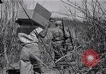 Immagine di Prigionieri liberati Cebu Filippine, 1945, secondo 37 filmato di repertorio 65675026772