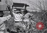 Immagine di Prigionieri liberati Cebu Filippine, 1945, secondo 44 filmato di repertorio 65675026772