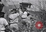 Immagine di Prigionieri liberati Cebu Filippine, 1945, secondo 45 filmato di repertorio 65675026772