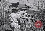 Immagine di Prigionieri liberati Cebu Filippine, 1945, secondo 46 filmato di repertorio 65675026772