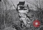 Immagine di Prigionieri liberati Cebu Filippine, 1945, secondo 47 filmato di repertorio 65675026772