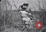 Immagine di Prigionieri liberati Cebu Filippine, 1945, secondo 48 filmato di repertorio 65675026772