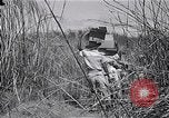 Immagine di Prigionieri liberati Cebu Filippine, 1945, secondo 49 filmato di repertorio 65675026772