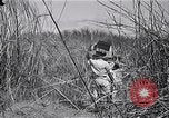 Immagine di Prigionieri liberati Cebu Filippine, 1945, secondo 50 filmato di repertorio 65675026772