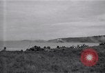 Image of Nasugbu Nasugbu Philippines, 1945, second 20 stock footage video 65675026774