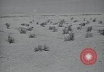 Immagine di Italiano forze Expeditionary Il Nord Africa, 1942, secondo 5 filmato di repertorio 65675026782