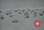 Immagine di Italiano forze Expeditionary Il Nord Africa, 1942, secondo 6 filmato di repertorio 65675026782