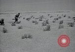 Immagine di Italiano forze Expeditionary Il Nord Africa, 1942, secondo 8 filmato di repertorio 65675026782