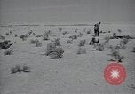Immagine di Italiano forze Expeditionary Il Nord Africa, 1942, secondo 11 filmato di repertorio 65675026782