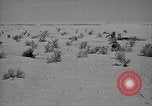 Immagine di Italiano forze Expeditionary Il Nord Africa, 1942, secondo 12 filmato di repertorio 65675026782