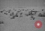 Immagine di Italiano forze Expeditionary Il Nord Africa, 1942, secondo 13 filmato di repertorio 65675026782