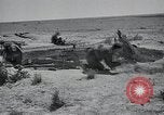 Immagine di Italiano forze Expeditionary Il Nord Africa, 1942, secondo 22 filmato di repertorio 65675026782