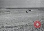 Immagine di Italiano forze Expeditionary Il Nord Africa, 1942, secondo 59 filmato di repertorio 65675026782