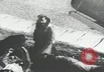 Immagine di Junkers Ju-87 Stukas Malta, 1941, secondo 46 filmato di repertorio 65675026784