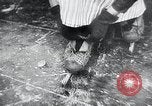 Image of snow covered city Netherlands, 1941, second 27 stock footage video 65675026788
