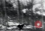 Image of skiing Bohemia Czechoslovakia, 1941, second 33 stock footage video 65675026789