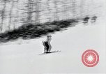 Image of skiing Bohemia Czechoslovakia, 1941, second 42 stock footage video 65675026789