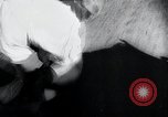 Image of track meet Japan, 1941, second 20 stock footage video 65675026792