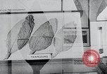 Immagine di Foglie di tabacco Norvegia, 1941, secondo 7 filmato di repertorio 65675026794